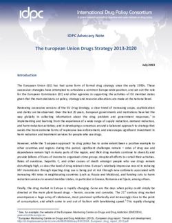 The European Union Drugs Strategy 2013-2020