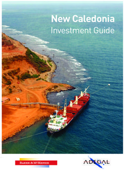 New Caledonia Investment Guide