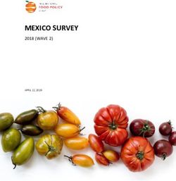MEXICO SURVEY 2018 (WAVE 2) - Food Policy Study