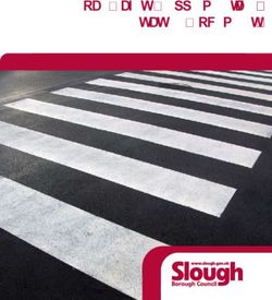 Road Safety Supplementary Strategy Document - Slough Borough Council