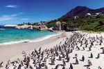 AFRICA BOTSWANA KENYA NAMIBIA SOUTH AFRICA VICTORIA FALLS - SEPTEMBER 2021 - NOVEMBER 2022 - LLAMA TRAVEL