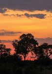 AFRICA BOTSWANA KENYA NAMIBIA SOUTH AFRICA VICTORIA FALLS - SEPTEMBER 2021 - NOVEMBER 2022 - LLAMA TRAVEL