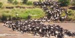 AFRICA BOTSWANA KENYA NAMIBIA SOUTH AFRICA VICTORIA FALLS - SEPTEMBER 2021 - NOVEMBER 2022 - LLAMA TRAVEL
