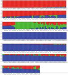 Association analysis of four storage protein components using microsatellite markers in a japonica rice collection