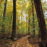 Escape the Ordinary - 2020 VISITORS GUIDE - Visit Evansville