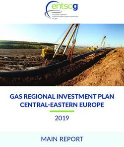 GAS REGIONAL INVESTMENT PLAN CENTRAL-EASTERN EUROPE - MAIN REPORT 2019 - entsog
