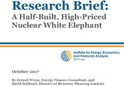 Research Brief: A Half-Built, High-Priced Nuclear White Elephant - October 2017 - Institute for ...
