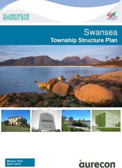 Swansea Township Structure Plan