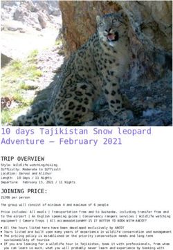 10 days Tajikistan Snow leopard Adventure - February 2021