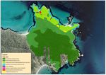 Mamaku Point Conservation Reserve Restoration Plan 2021-2030