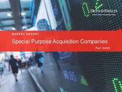 Special Purpose Acquisition Companies - MARKET REPORT Fall 2020 - Duff & Phelps