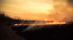 REVIEW OF THE MENTAL HEALTH EFFECTS OF WILDFIRE - SMOKE, SOLASTALGIA, AND NON-TRADITIONAL FIREFIGHTERS