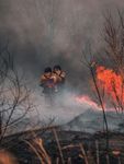 REVIEW OF THE MENTAL HEALTH EFFECTS OF WILDFIRE - SMOKE, SOLASTALGIA, AND NON-TRADITIONAL FIREFIGHTERS