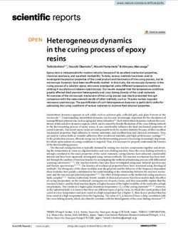 Heterogeneous dynamics in the curing process of epoxy resins - Nature