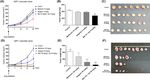 Metformin induced ROS upregulation as amplified by apigenin causes profound anticancer activity while sparing normal cells - Nature