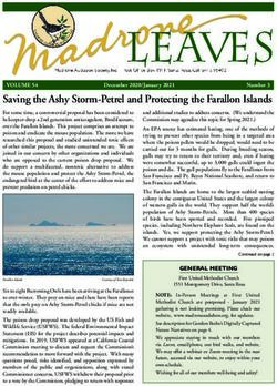 Saving the Ashy Storm-Petrel and Protecting the Farallon Islands - Madrone Audubon Society