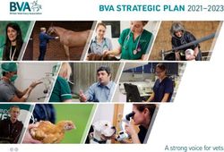 Bva strategic plan 2021-2023 - British Veterinary Association