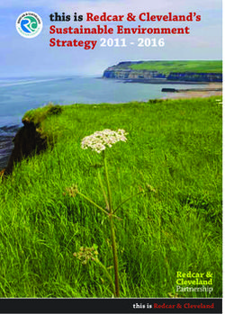 This is Redcar & Cleveland's Sustainable Environment Strategy 2011 2016 - this is Redcar & Cleveland