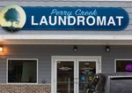 Introducing the Coin Laundry Business - Laundrylux