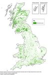 Woodland natural capital accounts, UK: 2020 - Office for National ...
