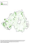 Woodland natural capital accounts, UK: 2020 - Office for National ...