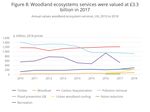 Woodland natural capital accounts, UK: 2020 - Office for National ...
