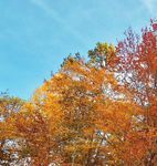 STATE OF TENNESSEE 2020 MEMBER HANDBOOK - TN.gov