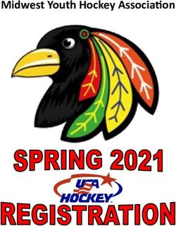 Midwest Youth Hockey Association - Midwest Training and Ice ...