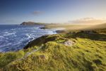 Qantas Global 'Make New Memories' Sale - Holiday memories fading? Make some new ones - the Pharmacy Daily back ...