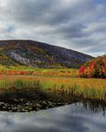 A Magazine about Acadia National Park and Surrounding Communities - Winter 2019 Volume 24 No. 3 - A Magazine about Acadia National ...