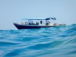 CARES Exchange The - Area of Concern-Lake Tanganyika Do You CARE Crossword Challenge Data Submission Deadline April 30