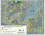 Operational Plan For Management of Sand Dunes State Forest 2013-2022