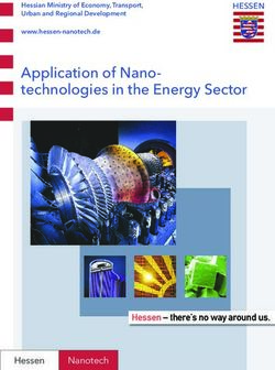 Application of Nano-technologies in the Energy Sector - Hessen - there's no way around us.