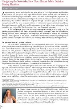 Navigating the Networks: How News Shapes Public Opinion During Elections