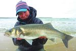 BASS ANGLING IN IRELAND - Fishing in Ireland