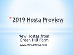 New Hostas from Green Hill Farm - www.HostaHosta.com
