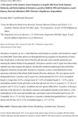 A New Species of the Anchovy Genus Stolephorus Lacepède 1803 from North Sumatra, Indonesia, and Redescriptions of Stolephorus pacificus Baldwin ...