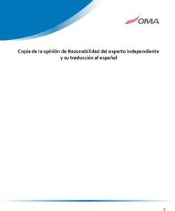 Copia de la opinión de Razonabilidad del experto independiente y su traducción al español