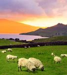 Ireland JUNE 3 - 12, 2020 - with host GARY SIEBER, Holiday Vacations
