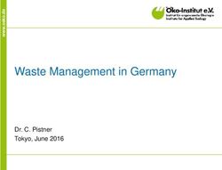 Waste Management in Germany - Dr. C. Pistner Tokyo, June 2016 - &Ouml;ko-Institut