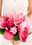 WEDDING GUIDE 2022-23 - Royal Davui Island Resort