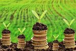 Study Guide for Economic Sciences - Sustainable Development in Degree Courses at Swiss Universities - IAU HESD