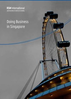 Doing Business in Singapore