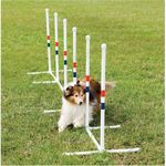 46th Annual Texas 4-H Dog Show Catalog. July 8-10, 2016 Bell County Expo Center, Belton, Texas.