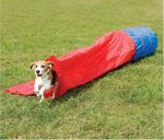 46th Annual Texas 4-H Dog Show Catalog. July 8-10, 2016 Bell County Expo Center, Belton, Texas.