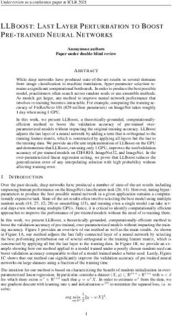 LLBOOST: LAST LAYER PERTURBATION TO BOOST PRE-TRAINED NEURAL NETWORKS