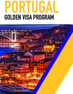 PORTUGAL GOLDEN VISA PROGRAM - Pam Golding Properties