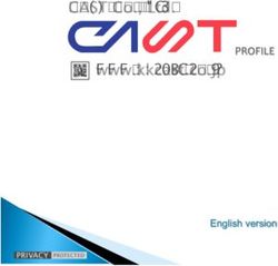 CAST Co., Ltd. www.kkcast.co.jp - THE LEADING JAPAN ...