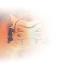 Mice and Keyboards www.vivanco.com