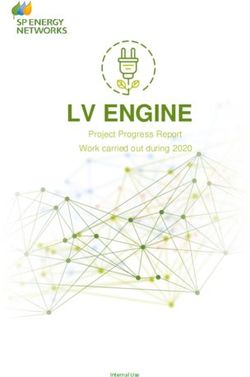 LV ENGINE Project Progress Report Work carried out during 2020 - Internal Use - SP Energy Networks
